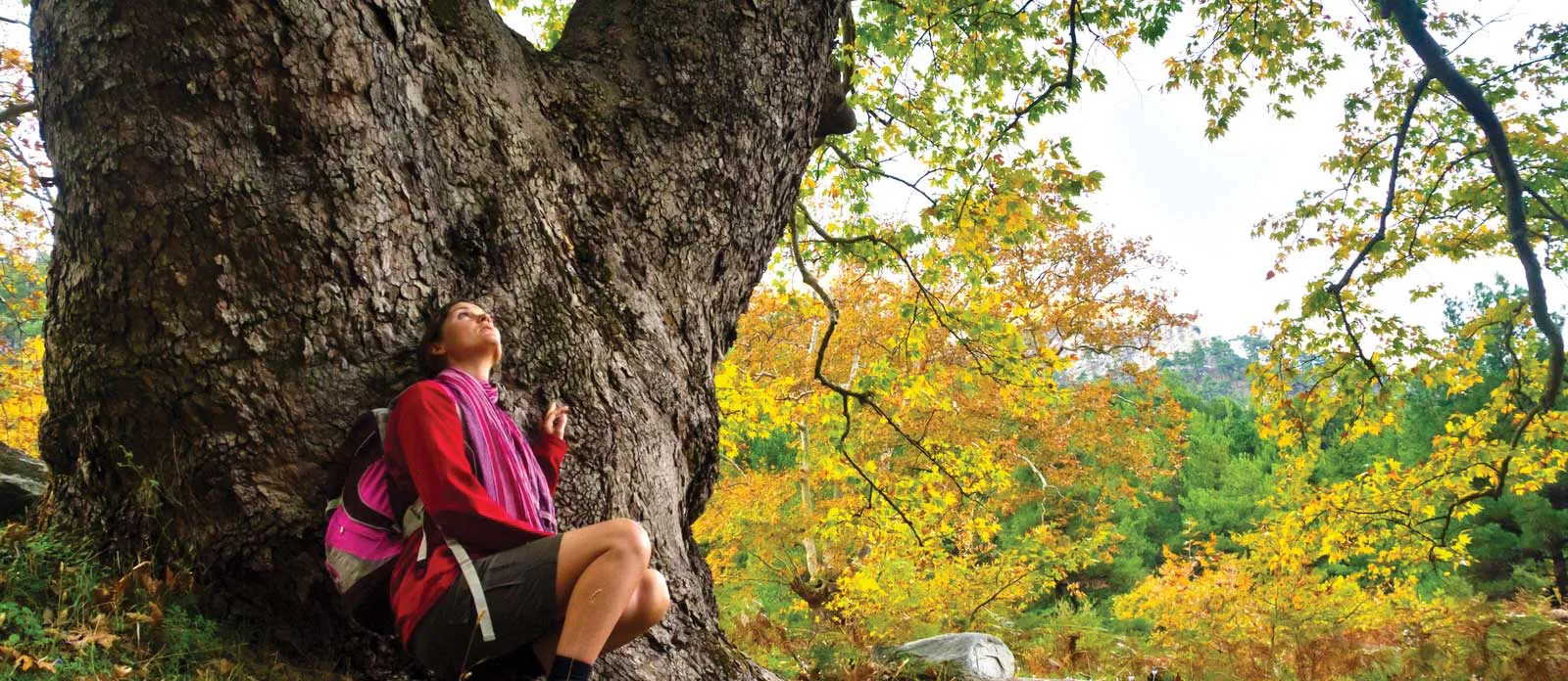Mesrûr Barzanî: Nabe em behsa yekrêziyê bikin lê bi cuda tev bigerin