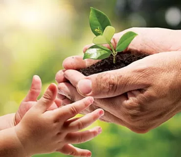 بەشێك لە هەوڵەكانی دەستەی ژینگە بۆ چارەسەركردنی گرفتە ژینگەییەكان