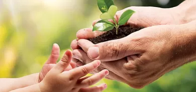 بەشێك لە هەوڵەكانی دەستەی ژینگە بۆ چارەسەركردنی گرفتە ژینگەییەكان