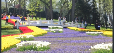 Festîvala Laleyan li Stenbolê şahiyeke dîtbarî pêşkêş dike