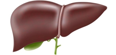 چۆن دەزانیت كە تەندروستیی جــگەر لە مەترسیدایە؟