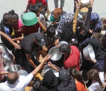 برسێتی لە غەززە؛ خەڵک دەستیان کردووە بە خواردنی گەڵاکانی دار