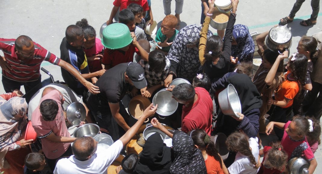 برسێتی لە غەززە؛ خەڵک دەستیان کردووە بە خواردنی گەڵاکانی دار