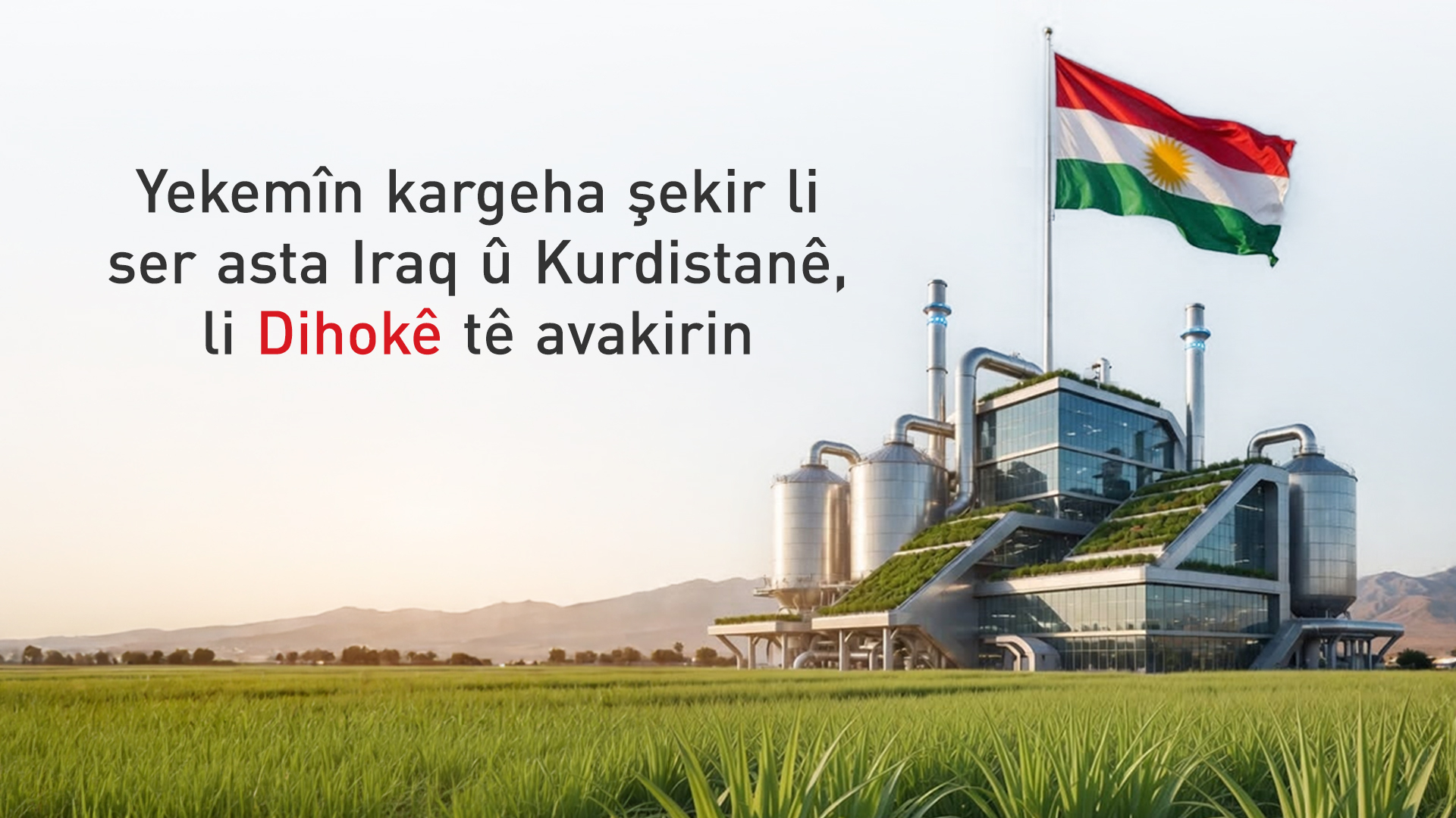 Yekemîn kargeha şekir li ser asta Iraq û Kurdistanê, li Dihokê tê avakirin