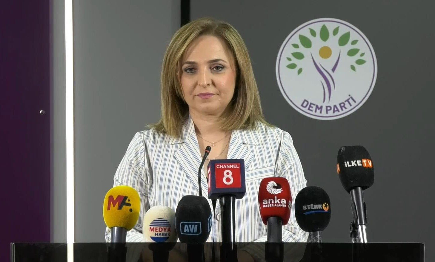 DEM Partî: Em dixwazin xebata çekdariyê bi dawî bibe