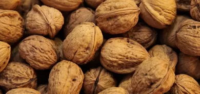 لمصابي ومتعافي كورونا.. دراسة تنصح بتناول هذا النوع من المكسرات