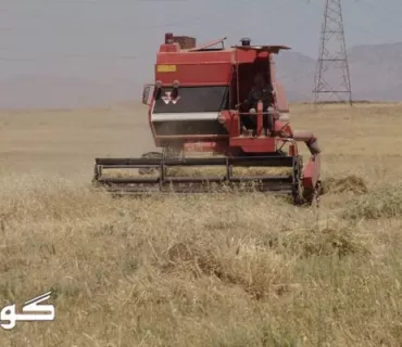 نرخی وەرگرتنی گەنمی جوتیاران دیاری کرا عێراق هەرێمی کوردستان هەولێر