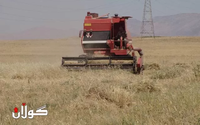 نرخی وەرگرتنی گەنمی جوتیاران دیاری کرا عێراق هەرێمی کوردستان هەولێر