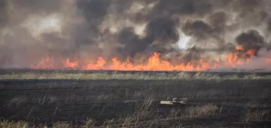 داقوق: المزارعون الكورد يحرسون محاصيلهم ليلاً خشية حرقها من قبل الوافدين العرب