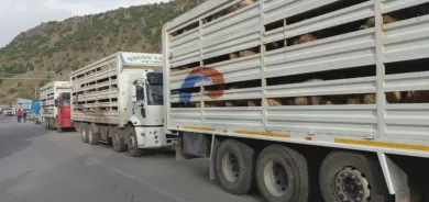 Qeymeqamiya Erzinganê rê li ajeldarên Dêrsimê girt