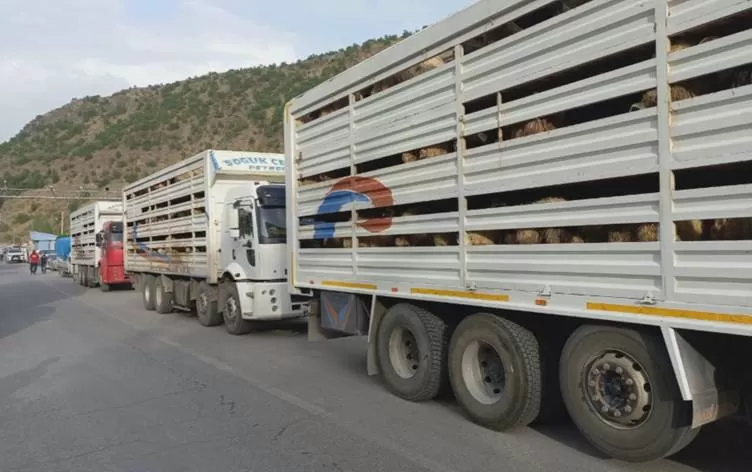 Qeymeqamiya Erzinganê rê li ajeldarên Dêrsimê girt