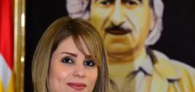 وڵاتى بێ دەستوور دارستانى بێ داره‌!