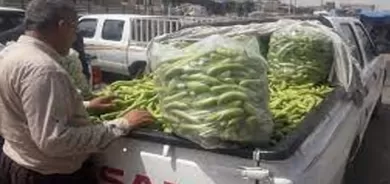 رۆژی پێنچ شەممە بڕیارە وەزیری كشتوكاڵی عێراق لەگەڵ سەرۆك وەزیران كۆبێتەوەو پرسی رێگەنەدان بەناردنی بەرووبوومە كشتوكاڵیەكانی جوتیاران تاوتوێ بكرێت