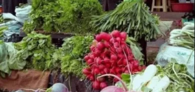 تعرّف على فوائد متعددة تقدمها الخضروات الورقية للصحة!