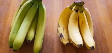 الموز الأخضر أم الأصفر.. أيهما أكثر فائدة للجسم؟