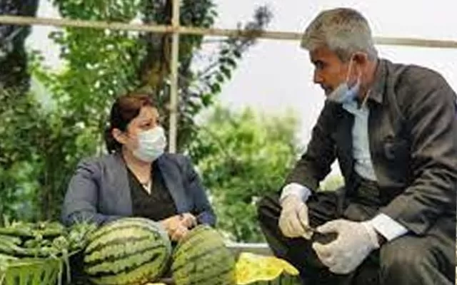 كردنەوەی بازاڕەكانی عێراق بەرووی بەهەمی جوتیارانی كورد نرخەكانی زیاد كرد