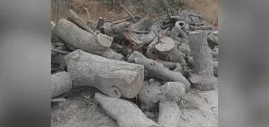 Hewlêr û Bexdayê bang li Tirkiyê kirin: Dawî li birîna daran bîne