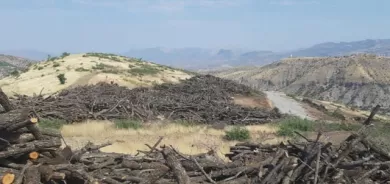 5 هەزار دۆنم دارستانی پارێزگای دهۆك سووتاوەو تێكدراوە
