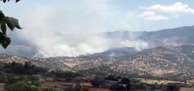 احتراق 5 آلاف دونم من غابات دهوك جراء قتال PKK وتركيا