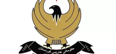 دیدگای 2030 هەرێم، چەند سەرنجێک