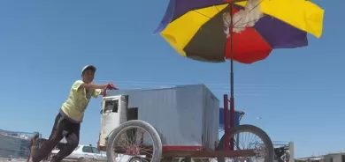 Li Herêma Cizîrê 2800 zarok kar dikin