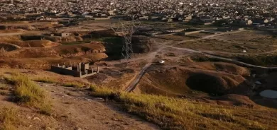 Milîsên Heşdî Şeibî li Xurmatû berhemên cotkaran talan dikin