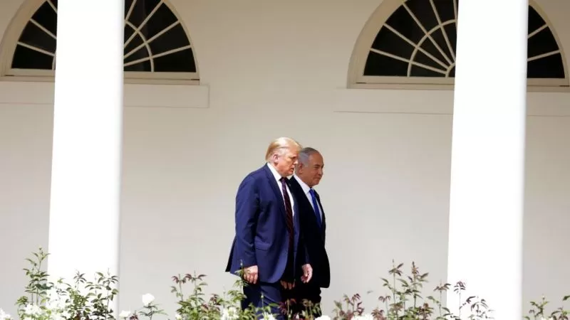 أوجه تشابه بين 