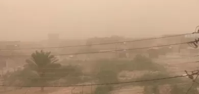 Vê îsal gelek tuz bibare