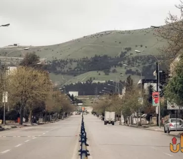 چەند كەسێك داره‌كانی شه‌قامی تووی مه‌لیكی سلێمانی دەبڕنەوە