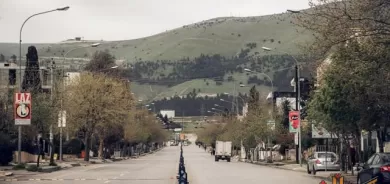 چەند كەسێك داره‌كانی شه‌قامی تووی مه‌لیكی سلێمانی دەبڕنەوە