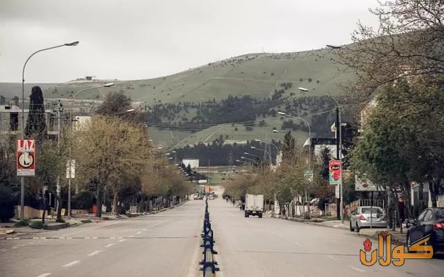 چەند كەسێك داره‌كانی شه‌قامی تووی مه‌لیكی سلێمانی دەبڕنەوە