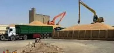 سبەینێ یەكەم ڕۆژە بۆ وەرگرتنی گەنمی جووتیارانی كوردستان