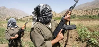 Sefîn Dizeyî: Kêşeya PKKê ligel Hikûmeta Herêma Kurdistanê ye