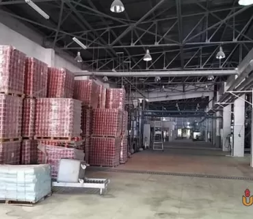 كارگەی قوتووبەندی هەریر رۆژانە 50 تۆن تەماتە وەردەگرێت