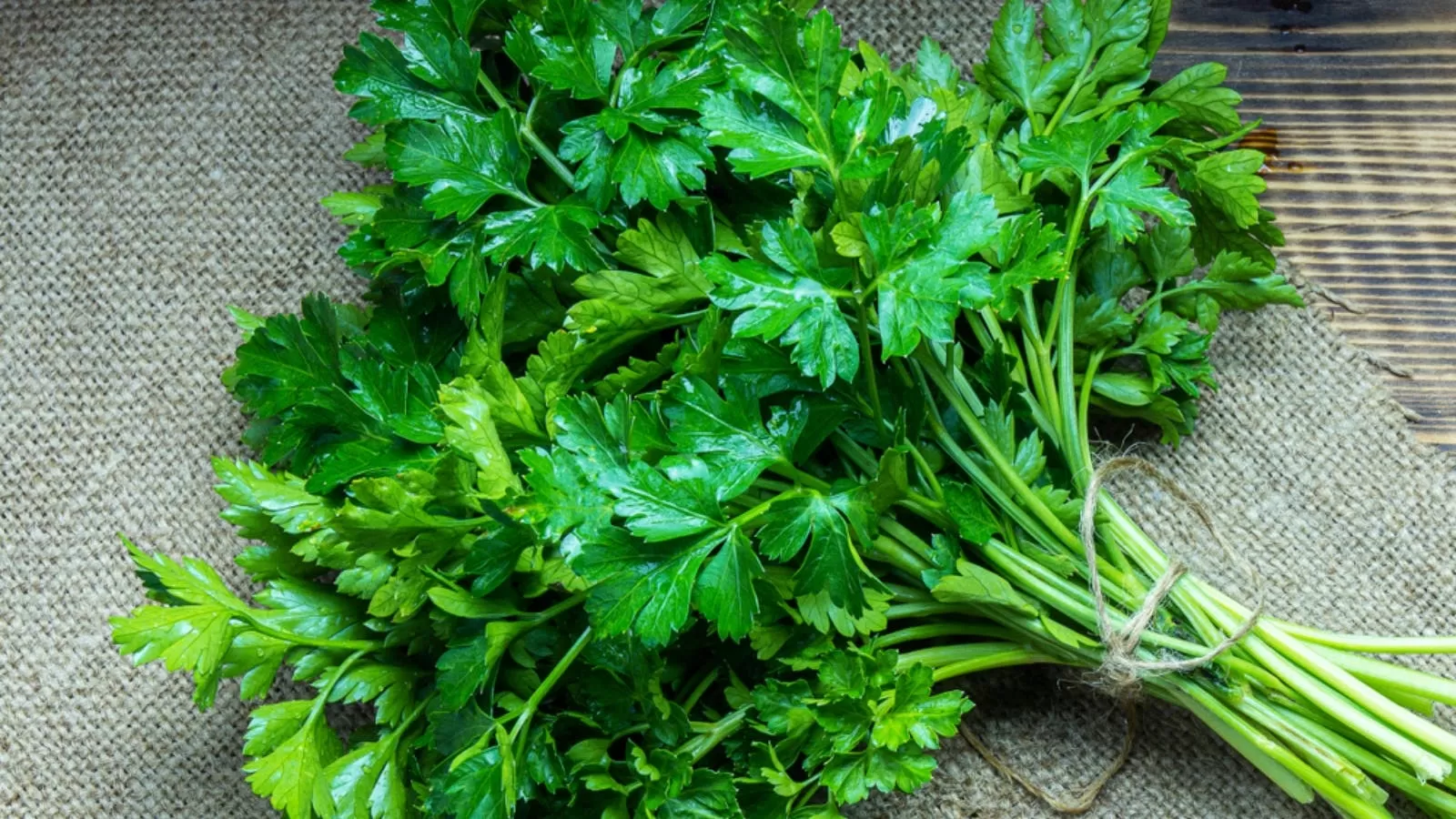 ما لاتعرفه عن فوائد 