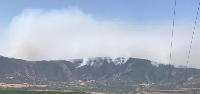 Şewata li daristanên Çewlîgê her ku diçe mezintir dibe