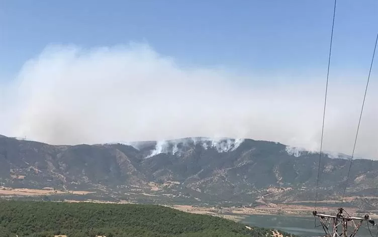 Şewata li daristanên Çewlîgê her ku diçe mezintir dibe