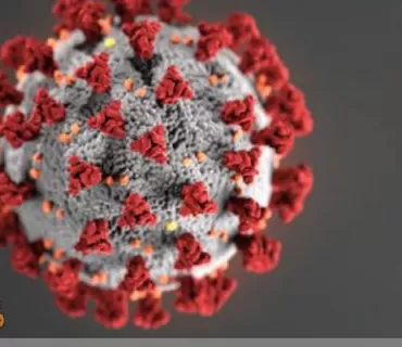 ئاماری‌ نوێی‌ كۆرۆنا له‌هه‌رێم.. چاکبوون ٦٧١، تووشبو ٦٧٣، گیانله‌ده‌ستدان ٩