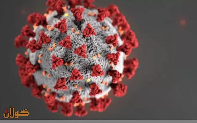 ئاماری‌ نوێی‌ كۆرۆنا له‌هه‌رێم.. چاکبوون ٦٧١، تووشبو ٦٧٣، گیانله‌ده‌ستدان ٩