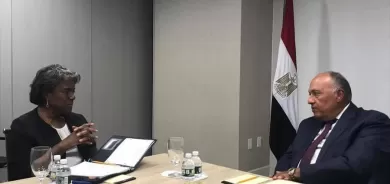 من أجل سد النهضة.. تحركات مصرية وسودانية في نيويورك