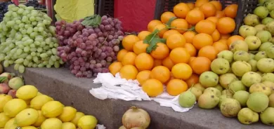 مەرجەكانی هەناردەکردنی بەرهەمی خۆماڵیی كشتوكاڵ  بۆ وڵاتانی دەرەوە