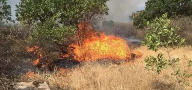 Li Dûkanê şewateke mezin çê bû