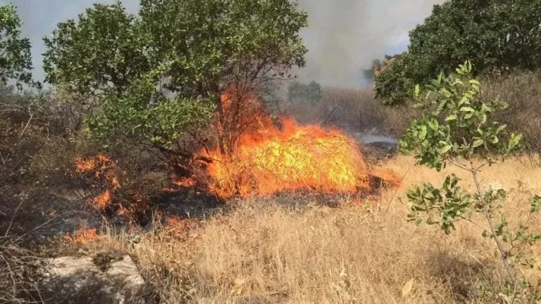 Li Dûkanê şewateke mezin çê bû