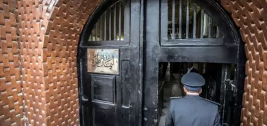 الولايات المتحدة 