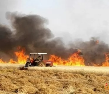 لە سیتەك نزیكەی 10 هەزار دۆنم پوش و پاوان سووتا