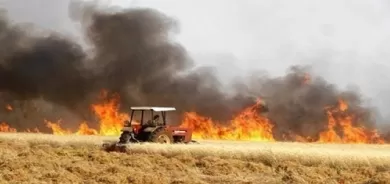 لە سیتەك نزیكەی 10 هەزار دۆنم پوش و پاوان سووتا