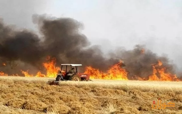 لە سیتەك نزیكەی 10 هەزار دۆنم پوش و پاوان سووتا