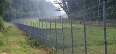 Iraq to probe migrant smuggling to Lithuania via Belarus