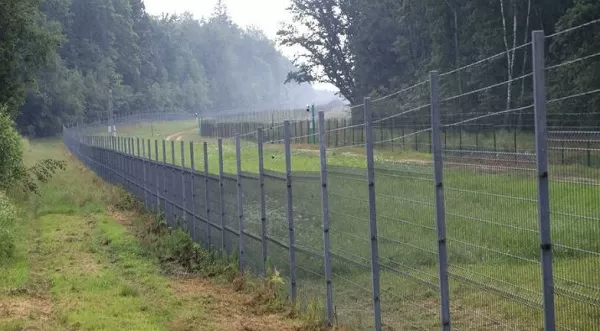 Iraq to probe migrant smuggling to Lithuania via Belarus