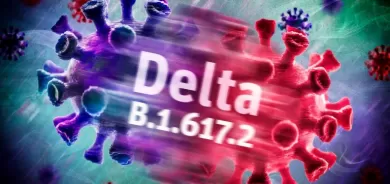 Yekem cureya Koronaya nû li Kurdistanê hat dîtin